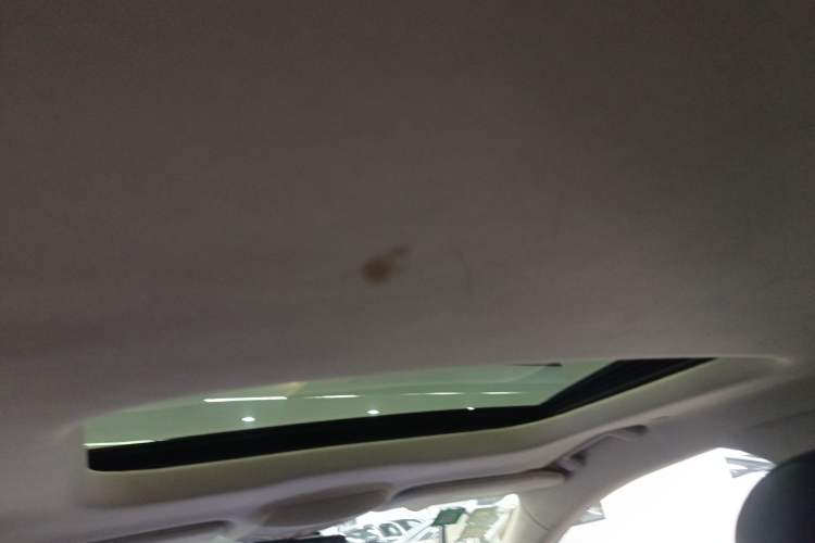 Used Ford Mondeo New Energy 2018 2.0 PHEV Smart-Control Luxury Version China VI Standard Headliner