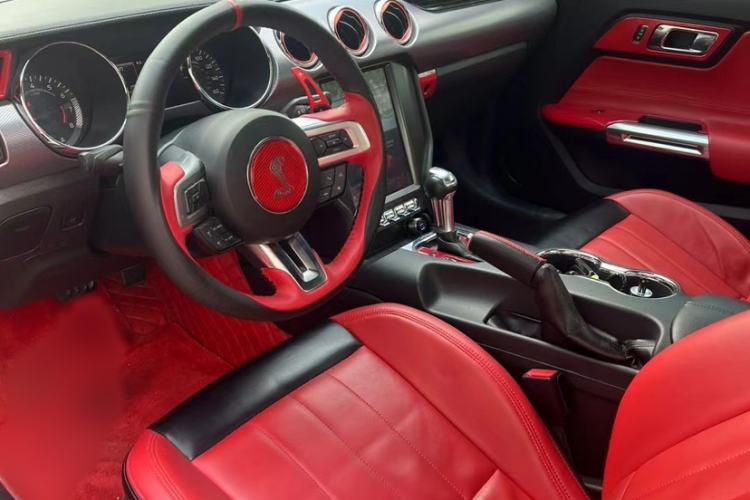 Used Ford Mustang  Exterior 1