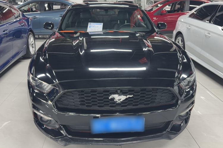 Used Ford Mustang  Exterior 1