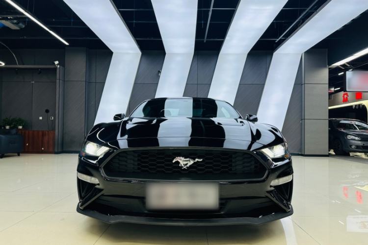 Used Ford Mustang  Exterior 1