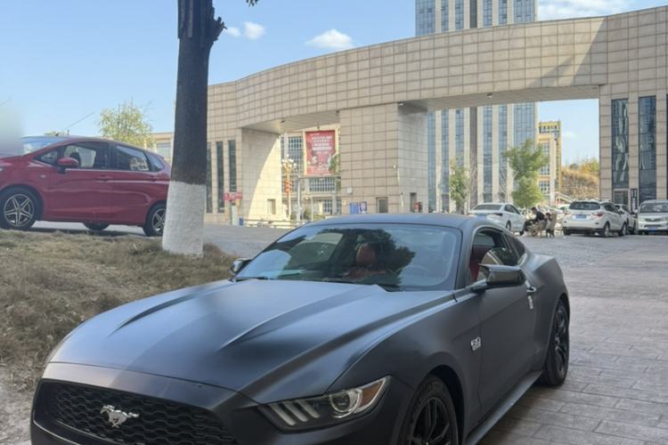 Used Ford Mustang  Exterior 2
