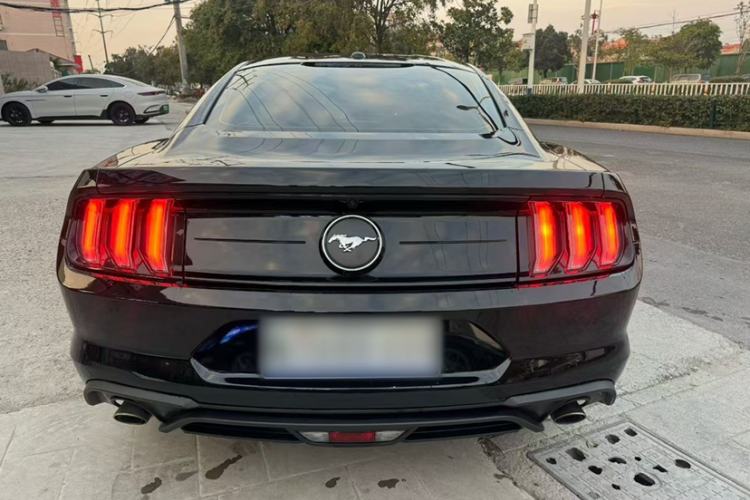 Used Ford Mustang 2019 2.3L EcoBoost Exterior 3