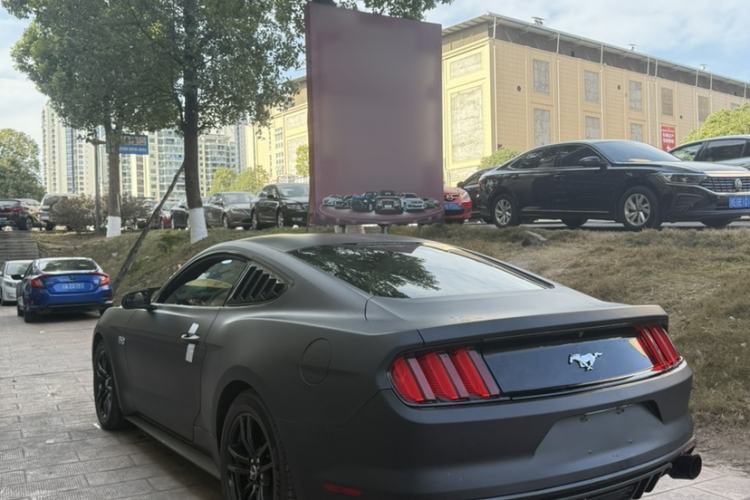 Used Ford Mustang  Exterior 4