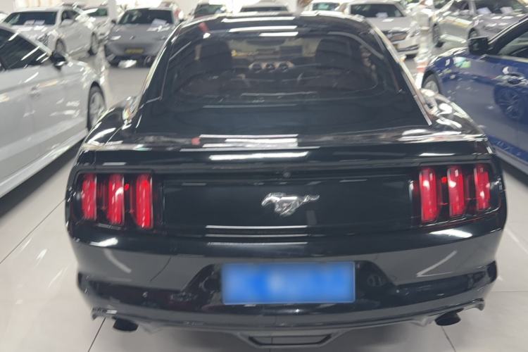 Used Ford Mustang  Exterior 4