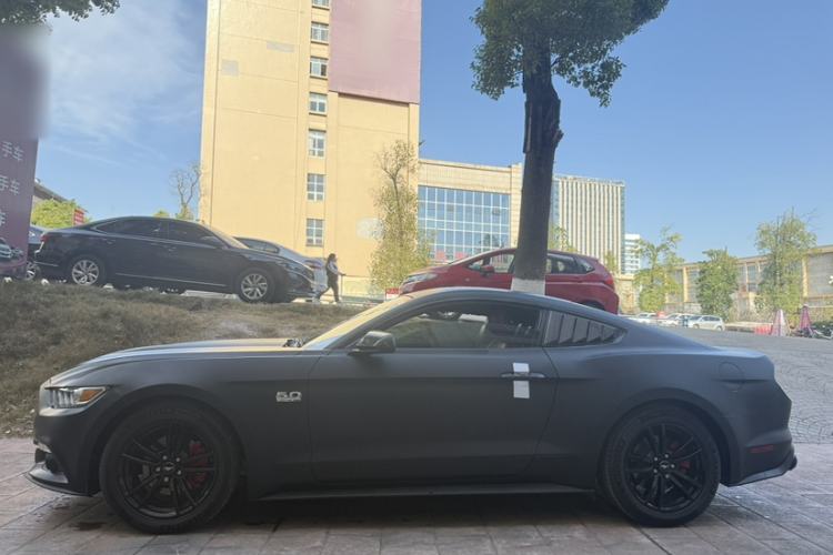 Used Ford Mustang  Exterior 5