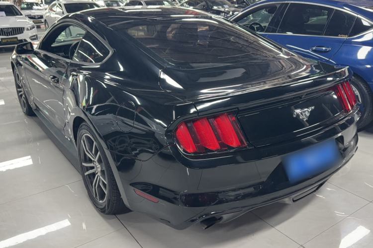 Used Ford Mustang  Exterior 5