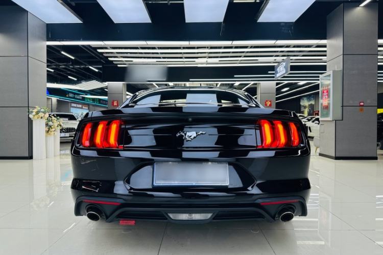 Used Ford Mustang  Exterior 5