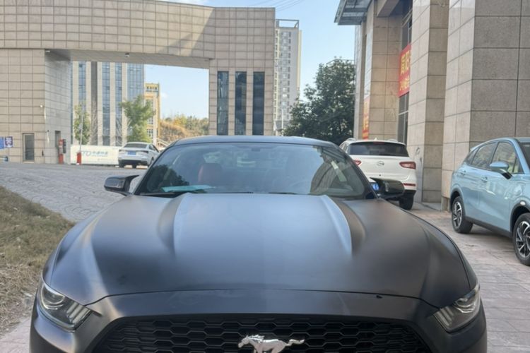 Used Ford Mustang  Exterior 6