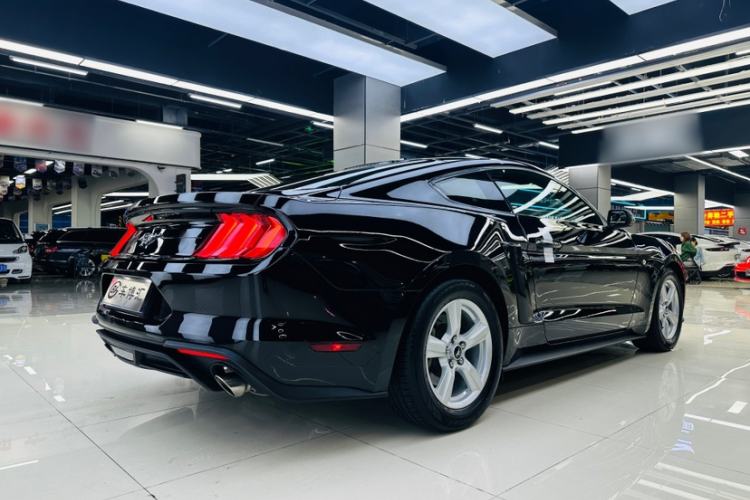 Used Ford Mustang  Exterior 6
