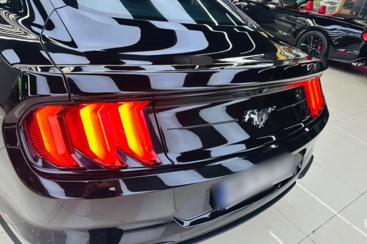 Used Ford Mustang  Exterior 7