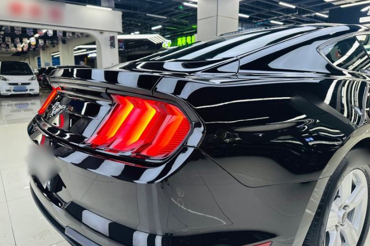 Used Ford Mustang  Exterior 8