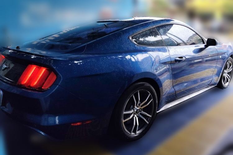 Used Ford Mustang  Exterior 5