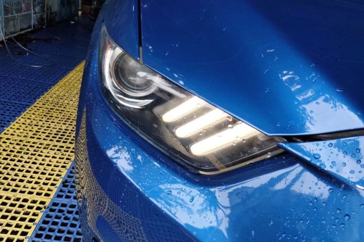 Used Ford Mustang  Exterior 6
