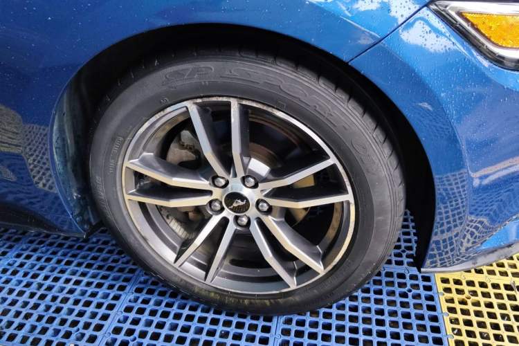 Used Ford Mustang  Exterior 7