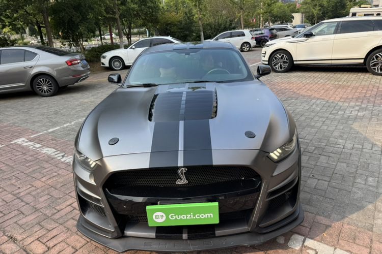 Used Ford Mustang  Exterior 1