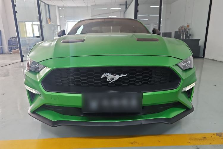 Used Ford Mustang 2019 2.3L EcoBoost Exterior 1
