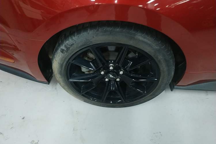 Used Ford Mustang 2021 2.3T EcoBoost Exterior 10