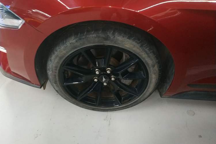 Used Ford Mustang 2021 2.3T EcoBoost Exterior 7