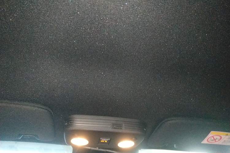 Used Ford Mustang 2021 2.3T EcoBoost Headliner