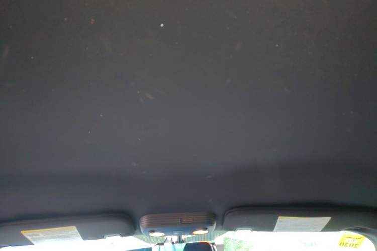 Used Ford Mustang  Headliner