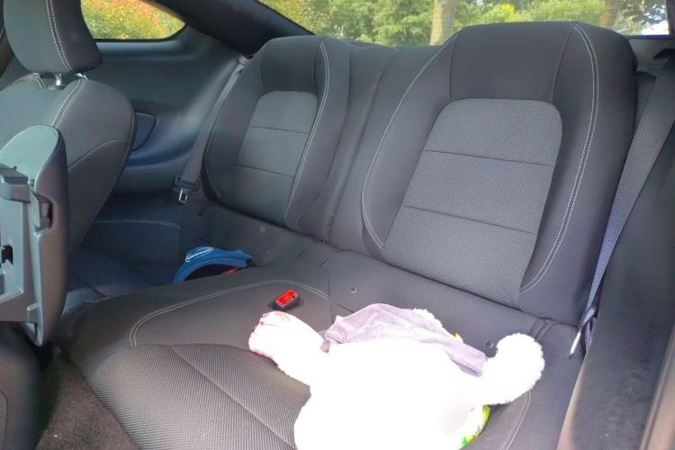 Used Ford Mustang  Left Rear Seat