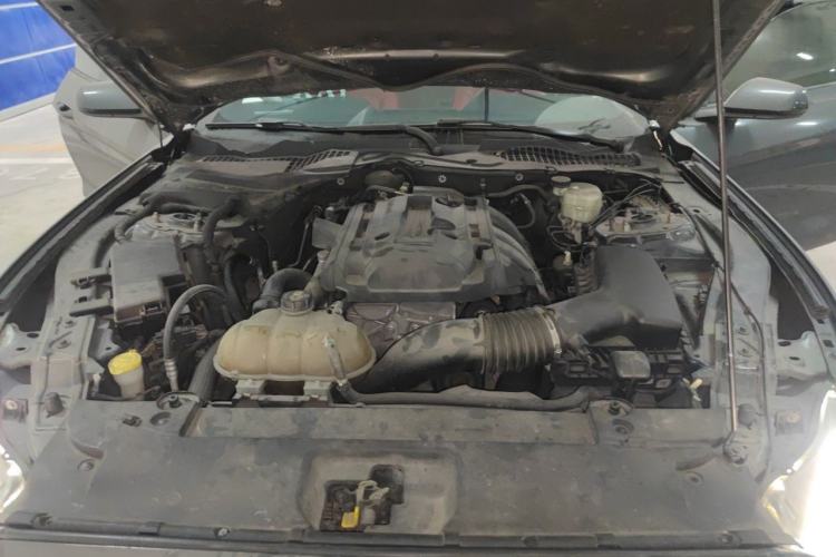 Used Ford Mustang  Engine Bay