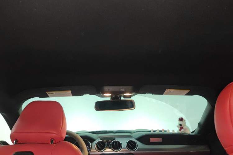 Used Ford Mustang  Headliner