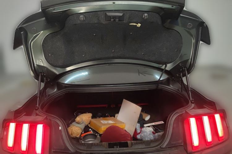 Used Ford Mustang  Trunk