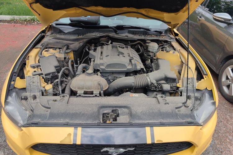 Used Ford Mustang  Engine Bay