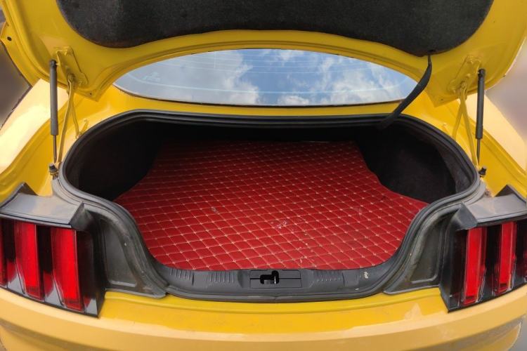 Used Ford Mustang  Trunk