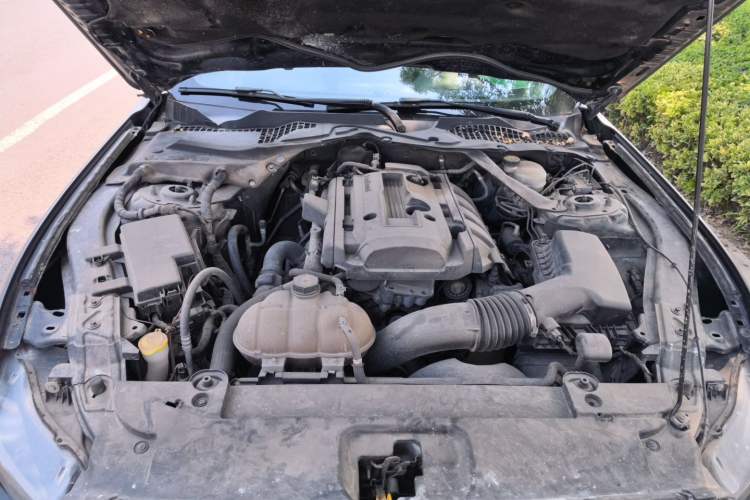 Used Ford Mustang  Engine Bay
