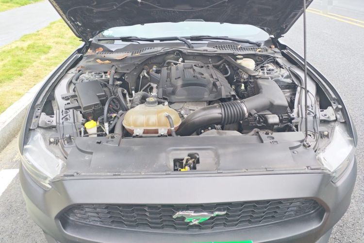 Used Ford Mustang 2015 2.3T Performance Edition Engine Bay
