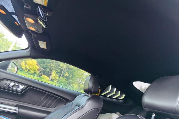 Used Ford Mustang  Headliner