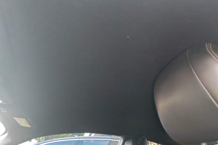Used Ford Mustang 2015 2.3T Performance Edition Headliner