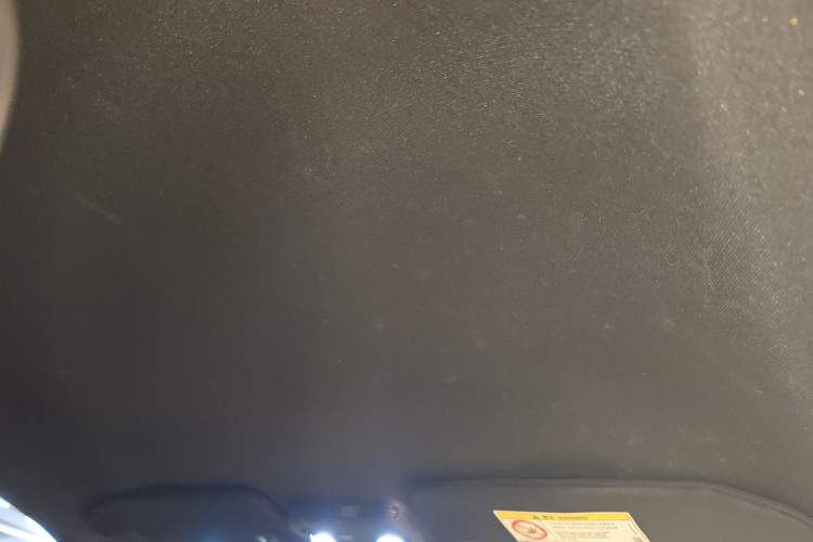 Used Ford Mustang 2015 2.3T Performance Edition Headliner