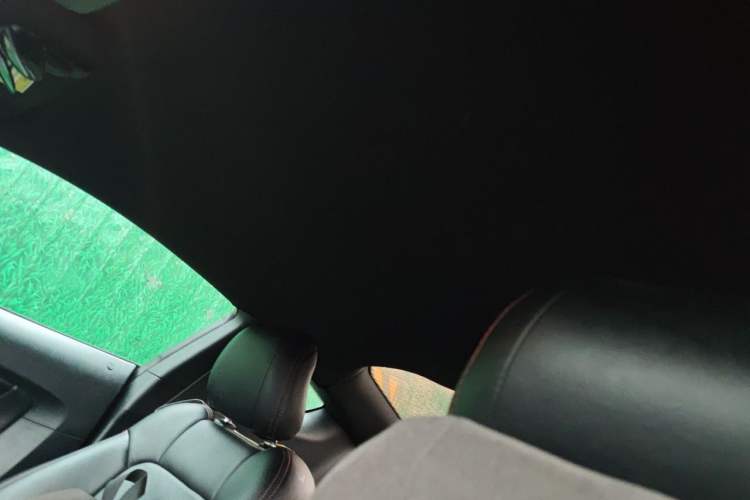 Used Ford Mustang 2015 2.3T Performance Edition Headliner
