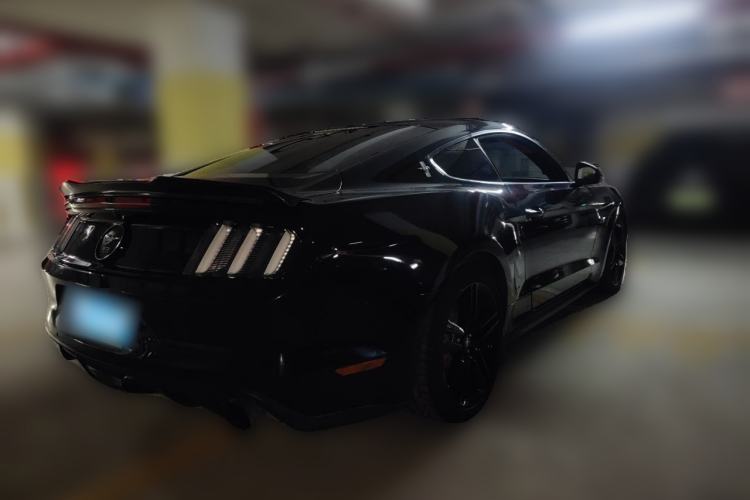 Used Ford Mustang 2015 2.3T 50th Anniversary Edition Rear Right 45 Deg