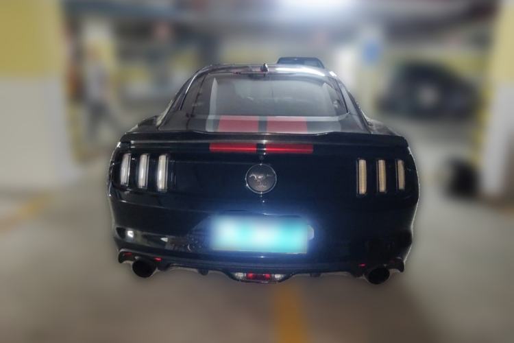Used Ford Mustang 2015 2.3T 50th Anniversary Edition Rear