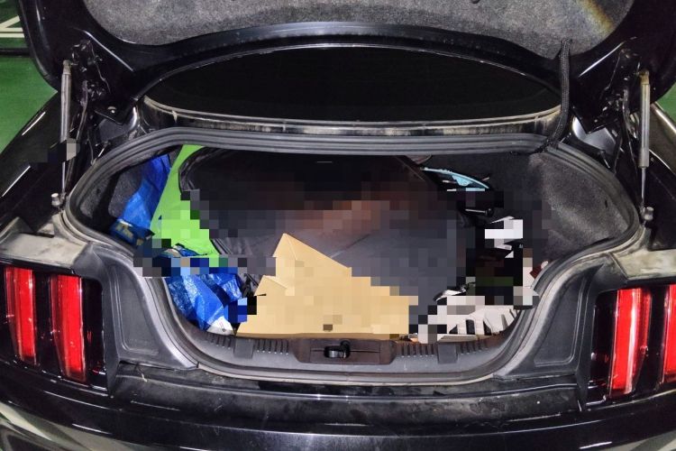 Used Ford Mustang  Trunk