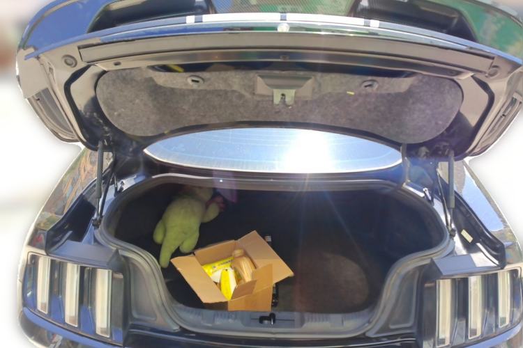 Used Ford Mustang 2015 2.3T Performance Edition Trunk