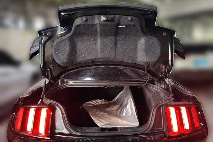 Used Ford Mustang  Trunk