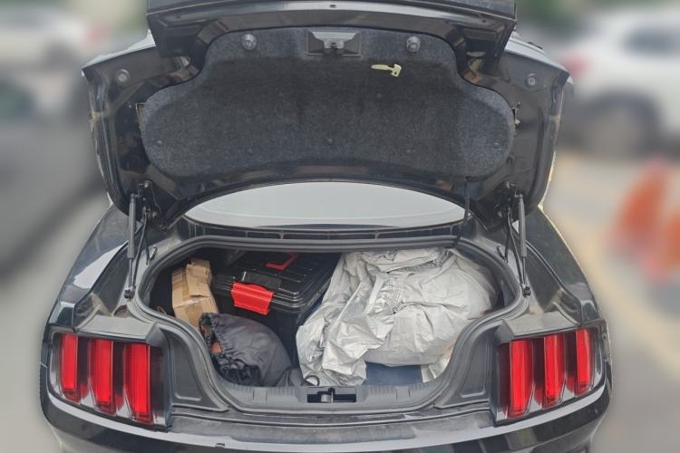 Used Ford Mustang  Trunk