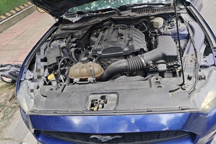 Used Ford Mustang 2015 2.3T Performance Edition Engine Bay
