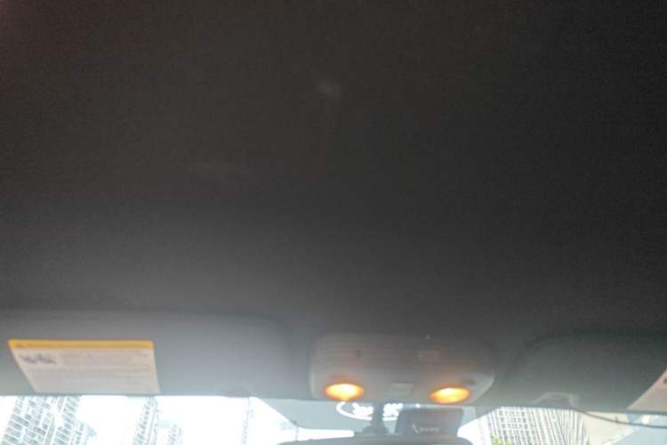 Used Ford Mustang  Headliner