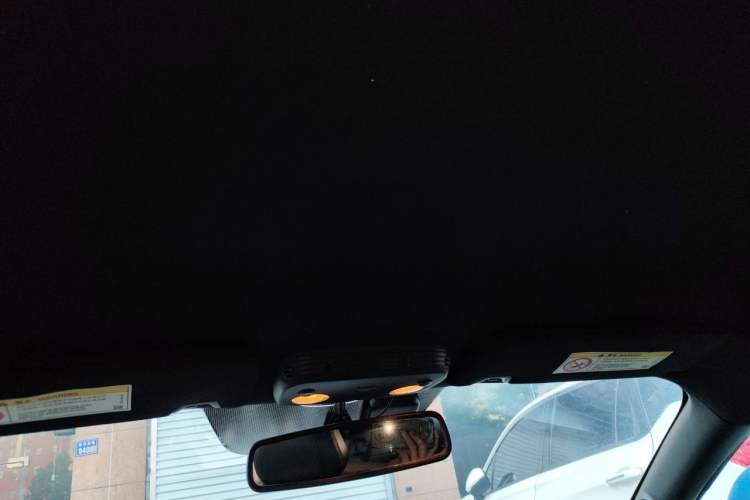Used Ford Mustang 2015 2.3T Performance Edition Headliner