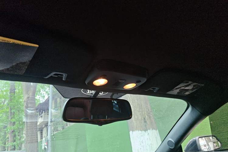 Used Ford Mustang 2015 2.3T Performance Edition Headliner