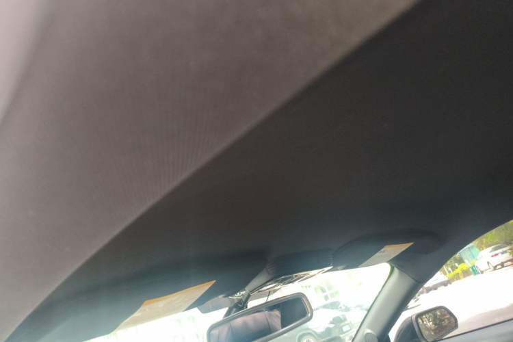 Used Ford Mustang 2015 2.3T Performance Edition Headliner