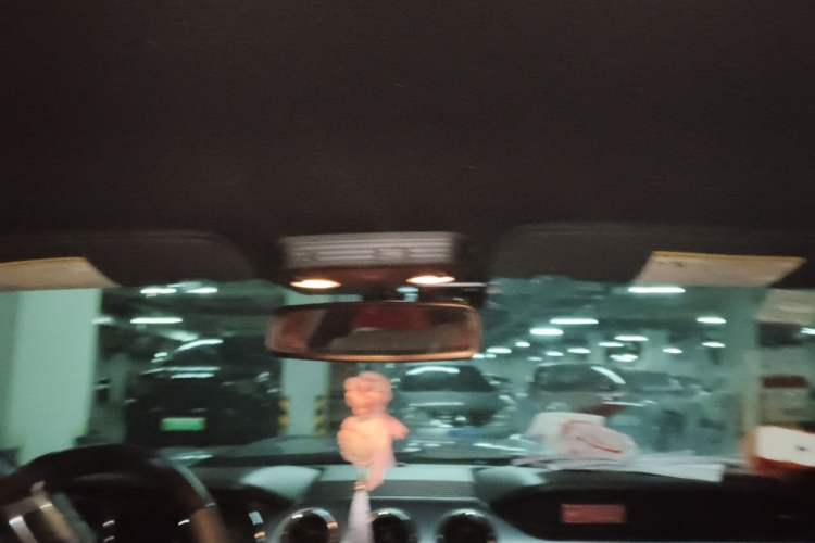 Used Ford Mustang  Headliner