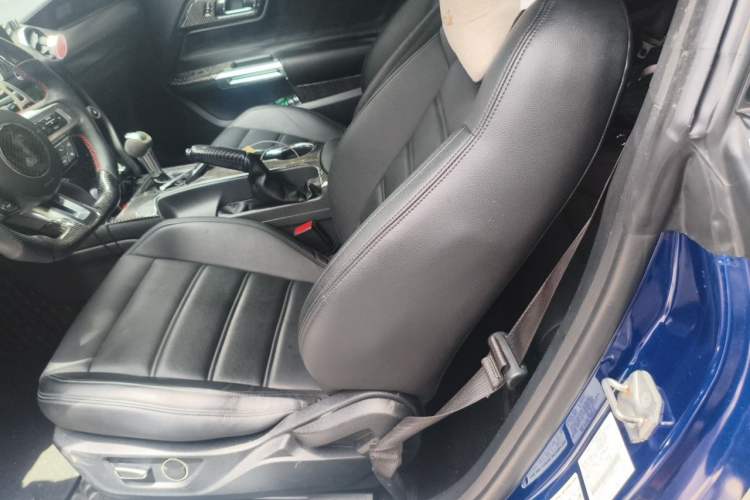 Used Ford Mustang 2015 2.3T Performance Edition Left Rear Seat