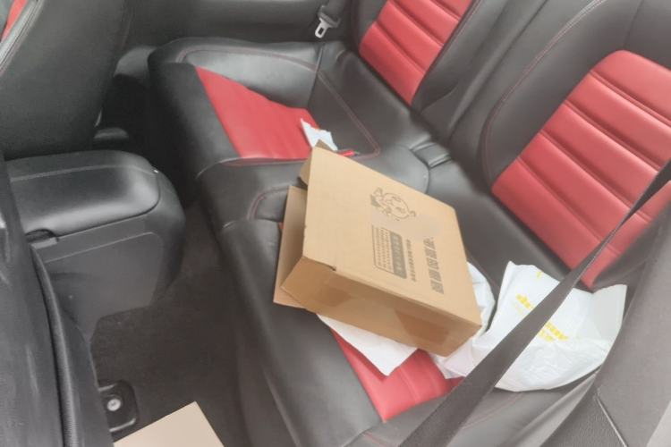 Used Ford Mustang 2015 2.3T Performance Edition Left Rear Seat